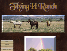 Tablet Screenshot of flyinghranch.com